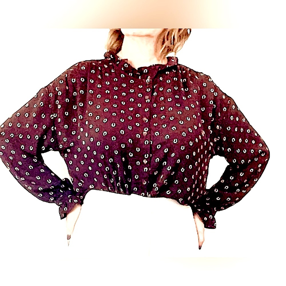 ⭐️Ann Taylor⭐️NWT LongSleeve Blouse L Petite